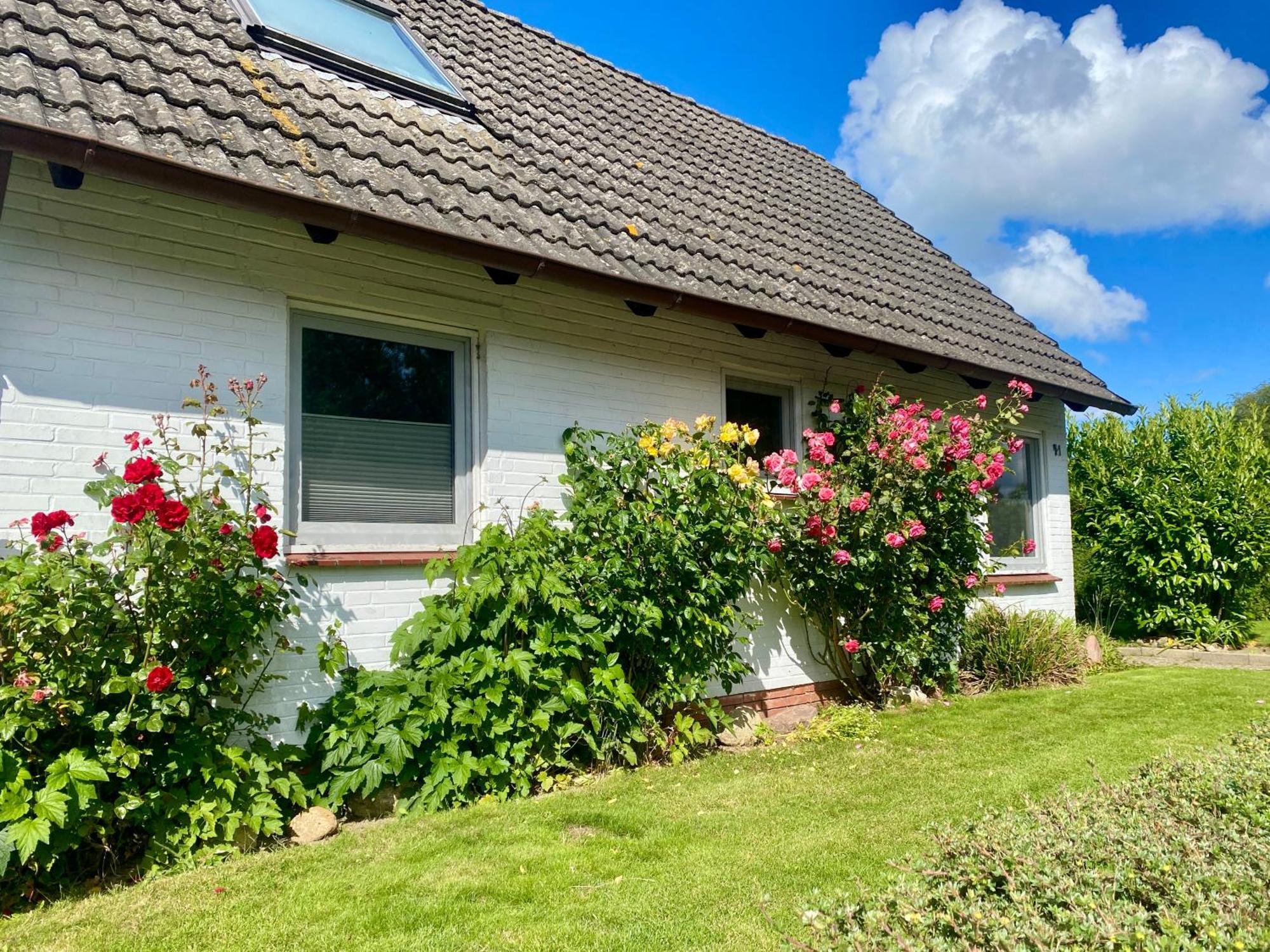 Ferienhaus Sutje Loose 외부 사진